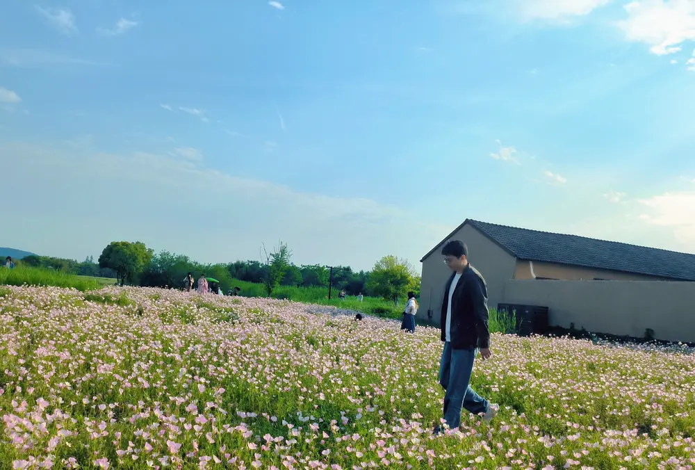 花田 · FLOWER FIELD